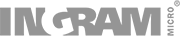 Ingram Micro partner logo